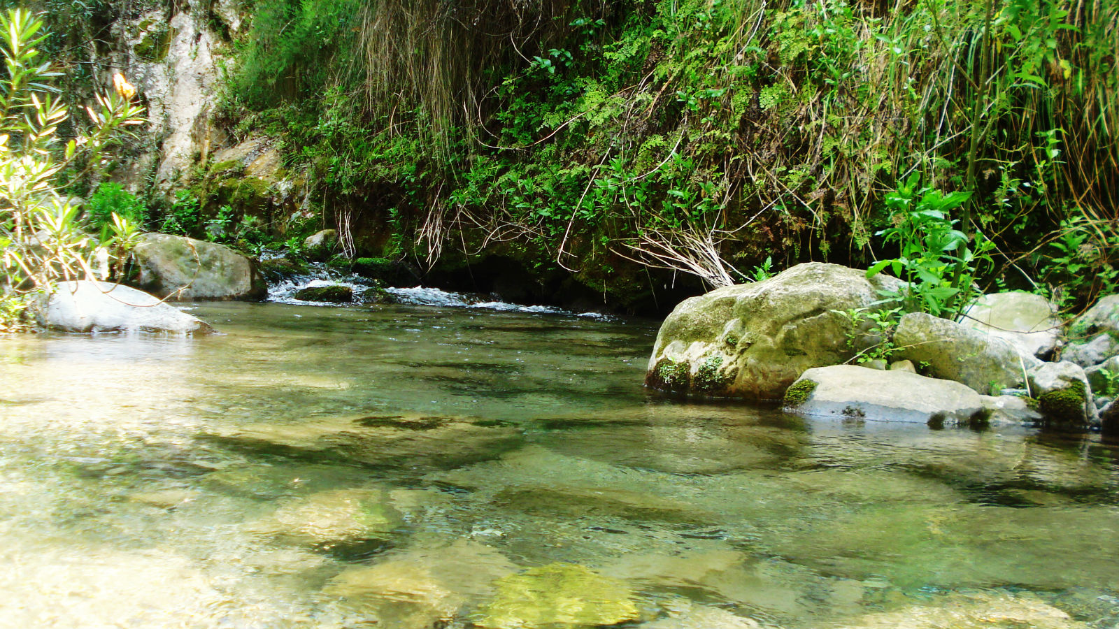 Clear mountain stream and rocks at Akchour near Chefchaouen