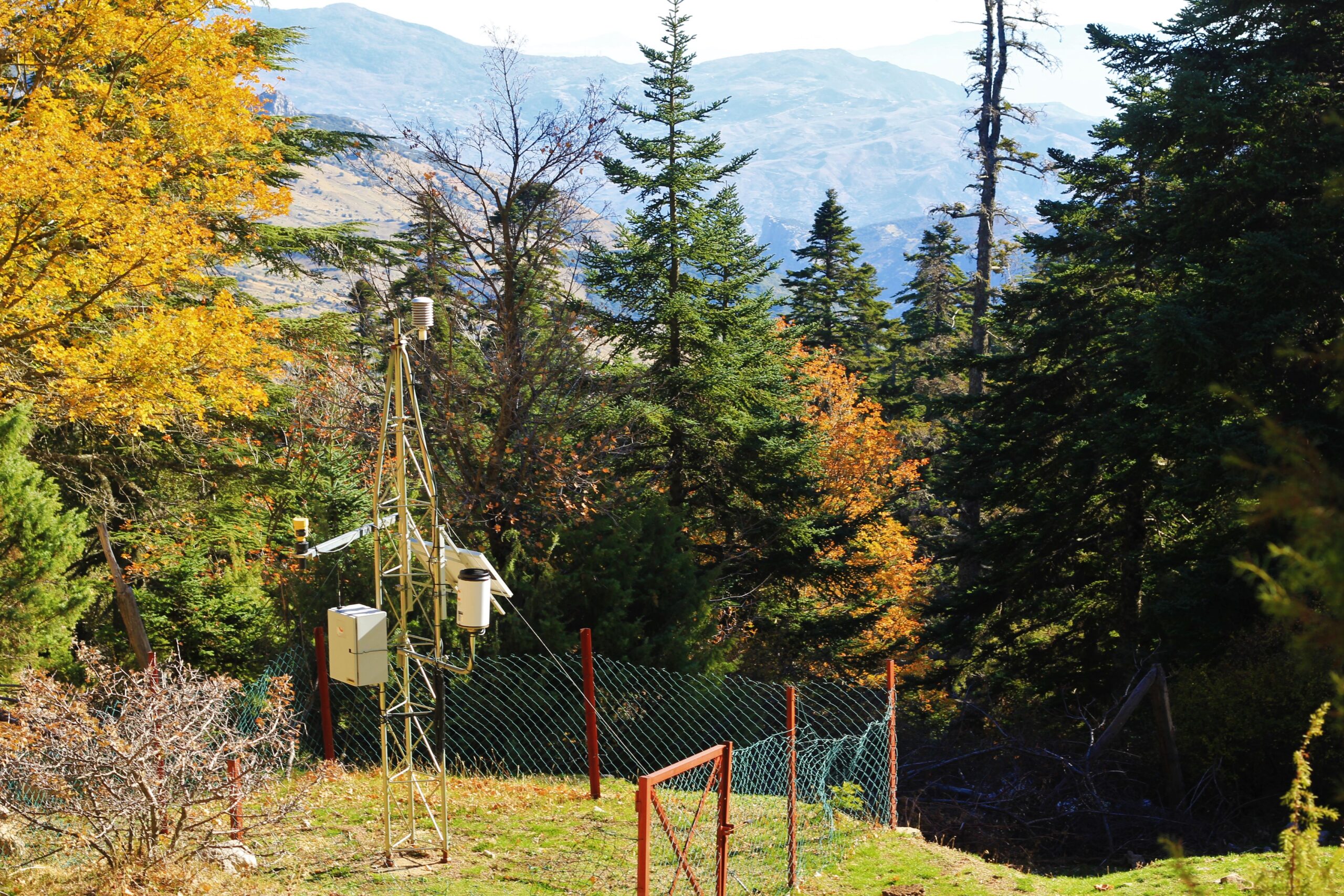 Forest and mountain landscape in Talassemtane National Park